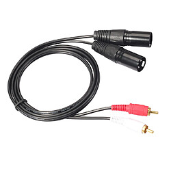 Câble double RCA vers XLR mâle