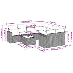 Avis vidaXL Salon de jardin avec coussins 9 pcs marron résine tressée