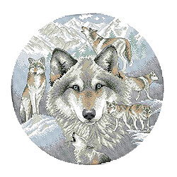 Acheter Kit de point de croix estampé pour débutant Motif de loup 11CT 48 x 48cm