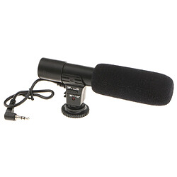 Avis Microphone d'enregistrement d'appareil-photo