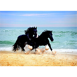 AG ART Poster Thème Horses On Beach - 160 x 110 cm