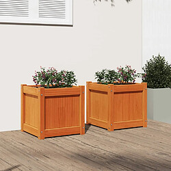 Avis Maison Chic Lot de 2 Jardinières,Bac à fleurs - pot de fleur cire marron bois de pin massif -GKD48787