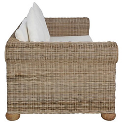 Acheter Maison Chic Canapé à 2 places,Sofa de Salon,Canapé droit avec coussins Rotin naturel -GKD769618