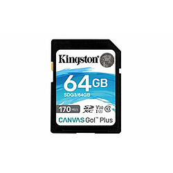 Avis Carte Mémoire SD Kingston Canvas Go! Plus 64 GB