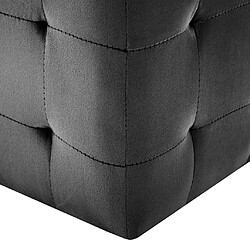 Acheter vidaXL 2 pcs Poufs Noir 30 x 30 x 30 cm Tissu velours