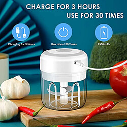 Universal 1pc mini électrique ail haché légumes poivrons viande gingembre bouche mesh machine robuste USB rechargeable mélangeur