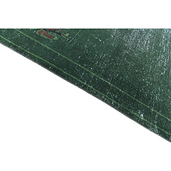 Acheter Vidal Tapis de laine 274x160 vert Ultra Vintage