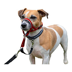 Collier d'entraînement pour chiens Company of Animals Halti Muselière (35-48 cm) pas cher