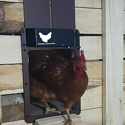 Universal Détecteur de lumière automatique de la porte du poulailler de la maison, ne pas ouvrir le minuteur pour retarder la nuit et le matin, poulet, animal de compagnie, porte de la cage du chien.