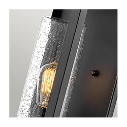 Avis Elstead Lighting Applique murale extérieur Hinkley Verre à graines transparent,EPMM (composite plastique,pierre) Noir