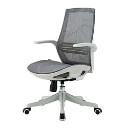 Mendler SIHOO chaise de bureau dossier ergonomique en forme de S, soutien de la taille accoudoir relevable ~ gris