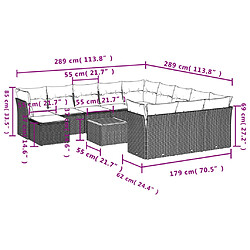 Acheter vidaXL Salon de jardin avec coussins 13 pcs noir résine tressée