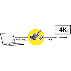 Acheter Fox Pathé Europa ROLINE Câble adaptateur USB C DVI I Câble adaptateur avec USB 3.1 type C et DVI D 24+1 Dual Link mâle I 4K UHD 60Hz I noir, 1m