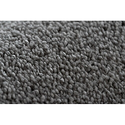 Acheter RUGSX TAPIS - MOQUETTE STAR argentin 170x230 cm