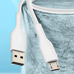 Avis Câble USB vers Micro-USB Charge et synchro Certifié USB-IF 1 mètre Belkin Blanc