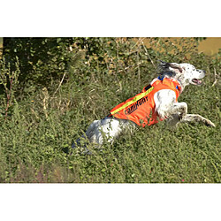 Avis Gilet de signalisation pour chien CaniHunt Flash V2