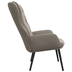 Avis vidaXL Chaise de relaxation Gris clair Velours