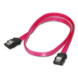 ASSMANN Electronic 2x SATA 7-pin, 0.75 m 0.75m SATA 7-pin SATA 7-pin Noir, Rouge câble SATA - câbles SATA (0.75 m)