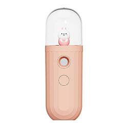 Pulvérisateur à Brouillard Skin Mini Nano-Spray Portable Visage Vaporisateur Facial Rose