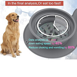 Acheter Universal Chien Double Bowl Voyage Utilisation Coussin d'alimentation pour chiot chat pliable non glissant pour animaux de compagnie extérieurs Portable Dog Bowl Food | Dog Feeding