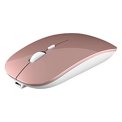 Souris Sans Fil Bluetooth5.0 Double Mode + Mode 2,4 GHz Pour Ordinateur Portable PC Rose Gold