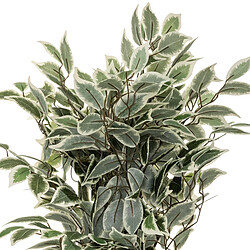 Atmosphera, Createur D'Interieur Ficus Bico artificiel H120 cm - ATMOSPHERA