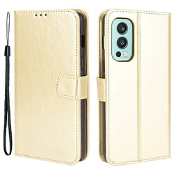 Htdmobiles Housse pour OnePlus Nord 2 5G - etui coque pochette portefeuille + verre trempe - OR