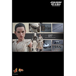 Hot Toys MMS336 - Star Wars : The Force Awakens - Rey