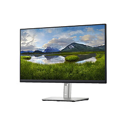 DELL P2422H computer monitor