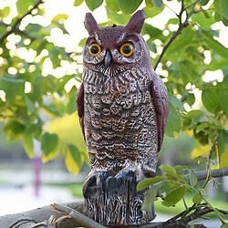 Acheter Faux À Cornes Hibou Oiseau Épouvantail Leurre, En Plastique Hibou Oiseau Dissuasifs, Nature Ennemi Répulsif à Insectes Nuisibles pour Cour Jardin