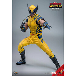 Acheter Hot Toys MMS753 - Marvel Comics - Deadpool & Wolverine - Wolverine