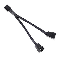 SILVERSTONE SST-CPF01 CÂBLE D'ALIMENTATION 0,10 M NOIR