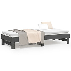 Acheter vidaXL Lit coulissant sans matelas gris 2x(90x200) cm