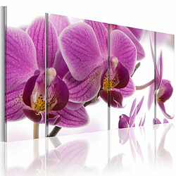 Paris Prix Tableau Imprimé Marvelous Orchid 30 x 60 cm