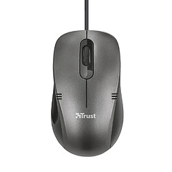 Trust 20404 souris Ambidextre USB Type-A Optique 1000 DPI