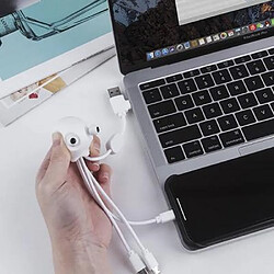 Acheter XOOPAR Câble Jelly USB A+C/micro USB & USB C & Lightning 0,1m Blanc