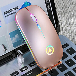 Yonis Souris Sans Fil RGB Rechargeable Silencieuse