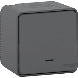 Schneider Electric Bouton poussoir anthracite