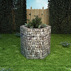 Maison Chic Jardinière,Lit surélevé - Bac à fleurs - pot de fleur à gabion hexagonale 100x90x100 cm -GKD67904