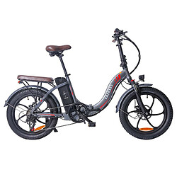 FAFREES F20 Pro Vélo Électrique 20 pouces Cadre Pliant E-bike - Gris