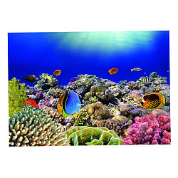 Autocollant 3D auto-adhésif autocollant 122x61cm de peinture murale pour aquarium