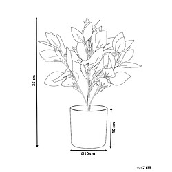 Avis Beliani Plante artificielle TRADESCANTIA Rouge