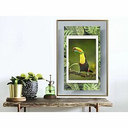 Paris Prix Affiche Murale Encadrée Toucan in the Frame 40 x 60 cm Or