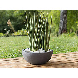 Pot de fleur Vasque Graphit Anthracite - Eda