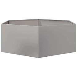 Acheter vidaXL Jardinière hexagone 138x120x45 cm acier inoxydable