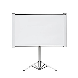 Ecran de projection sur pied celexon Mobil Expert double format 4:3/16:10 - 172 x 108 cm 80"