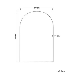 Avis Beliani Miroir 75 cm Argenté ANNECY