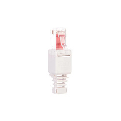 ENTER-WEB Fiche RJ45 CAT6 (à sertir sans pince)