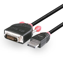 Lindy 41493 câble vidéo et adaptateur 5 m DVI-D DisplayPort Noir pas cher