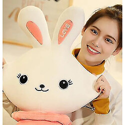 Acheter Universal 50 cm mignon lapin de lapin long oreiller en peluche Douche de Noël cadeau | oreillers en peluche